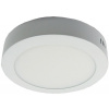 Podhledové světlo LED 12W, 170mm, bílé, 230V/12W, přisazené