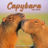 Capybara, 30,5 x 30,5 30,5 x 61 cm 2026