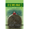 Co se dnes hraje?