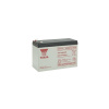 Baterie pro UPS - YUASA NPW45-12 (12V; 45W/čl./faston F2) 13620