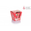 Bartek Candles Christmas Stories - Sweet Gingerbread House 115 g