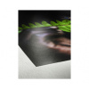 Hahnemühle Photo Rag Pearl 320 - A2, 25 listů - 10641664