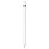 Apple Pencil (1st Generation) + USB-C adapter