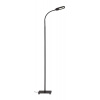 Briloner LED stojacia lampa CCT, 600 lm, teplá - studená biela, 134 cm, 1297-015