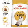 Royal Canin Ragdoll Adult 10 kg