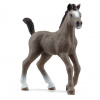 Schleich Zvieratko - Žriebä plemena Selle Français