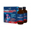 Adele Davis CONDROCOMPLEX Lipomozálna kĺbová výživa 2x 500 ml