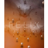 Felix - autor neuvedený