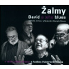 Raus Daniel Žalmy - David a jeho blues CD