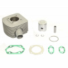 ATHENA Sady valca ATHENA 063600 Veľké vŕtanie d 45 mm, 70 cc