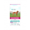 Eukanuba Dog Dry Daily Care Sensitive Digestion Puppy Chicken Bag granule pre šteňatá s citlivým žalúdkom 12 kg