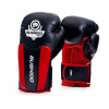 Boxerské rukavice DBX BUSHIDO boxerské rukavice 12 oz