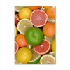Fotografie na sklenení vertikálne citrusové ovocie 70x100 (Obrázok fotografie akrylové sklo citrusové ovocie 70x100cm)