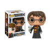 Funko POP! #31 Movies: Harry Potter - Harry with Hedwig