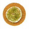 Klíčky - Lucerna Alfalfa - 250 g Semená na klíčky