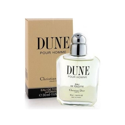 Christian Dior Dune pour Homme, Toaletná voda, Pánska vôňa, 100ml