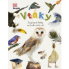 Vtáky | autor neuvedený