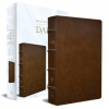 Rvr 1960 Biblia de Estudio Dake, Tama?o Grande, Piel Marrón / Spanish Rvr 1960 D Ake Study Bible, Large Size, Brown Leather (Finis J. Dake)()