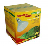Lucky Reptile Bright Sun FLOOD Jungle 150W