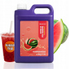 Molecula - SYROP pre BUBBLE TEA - 2.5 kg - SOK KONCENTRÁT - MELÓN