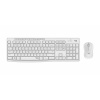 Logitech MK295 Silent Wireless Keyboard Mouse Combo 920-009824 (920-009824)