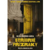 Stříbrné přízraky - Silvia Moreno-Garcia