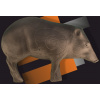 Pecari 3D ELEVEN (6305)