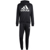 Tepláková súprava adidas Terry Hooded Tracksuit M IP1610