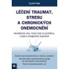 Léčení traumat stresu a chronických onemocnění - Dale Cyndi