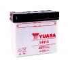 Yuasa 51913