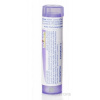 SULFUR IODATUM GRA HOM CH30 1x4 g Laboratoires BOIRON