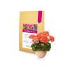 Symbiom Symbivit muškát - 3 kg