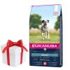 Eukanuba Adult Large Salmon&Barley 12kg + Prekvapenie pre psa ZADARMO!