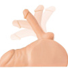 Pdx Plus - Perfect Ride Masturbator Penis And Anus