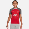Nike Liverpool FC Strike SS Top Jr T-shirt FD7088-688 (190101) Black L (147-158)