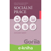E-kniha Sociální práce - Alena Hricová, David Urban, Stanislav Ondráček
