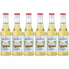 6 x Barmanský sirup MONIN Hazelnut Sugar Free ORECH BEZ CUKRU 250 ml