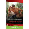 E-kniha Nebezpečný úkol - Kimberly Van Meter