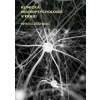 Klinická neuropsychologie v praxi (Petr Kulišťák )