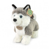 Eco-Friendly Rappa pes husky stojící 23 cm