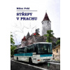 Střepy v prachu - Milan Pohl - online doručenie