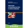 E-kniha Anestezie a pooperační péče v cévní chirurgii - Pavel Michálek, Michael Stern, Petr Štádler