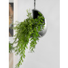 Gradient Hanging cocoon matt grey 20x24 cm
