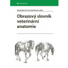 Obrazový slovník veterinární anatomie - M. Gheorghe Constantinescu