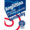 Angličtina pro mírně a středně pokročilé samouky + mp3 - Kollmannová Ludmila