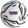 Futbalová lopta Spartan TROPHY - 5