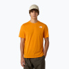 Pánske tričko The North Face Multiple Placement mushroom ember