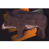 diviak stredný 3D ELEVEN superterč aj na silné kuše a kladkové luky (wild boar) (6312)