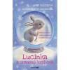 Lucinka a zraněný králíček