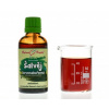 Šalvia Červenokorenná - Dan Shen Kvapky - Tinktúra 50ml (Salvia miltiorrhiza)